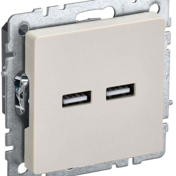 Розетка BRITE USB A+A 3.1А РЮ10-1-БрКр механизм беж
