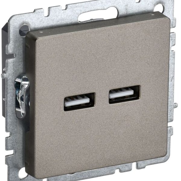 Розетка BRITE USB A+A 3.1А РЮ10-1-БрШ механизм шампань