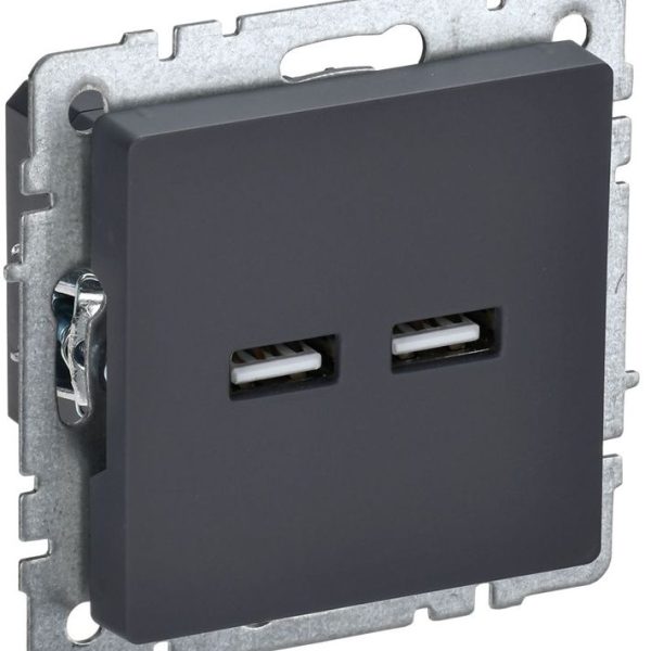 Розетка BRITE USB A+A 3.1А РЮ10-1-БрГ механизм графит