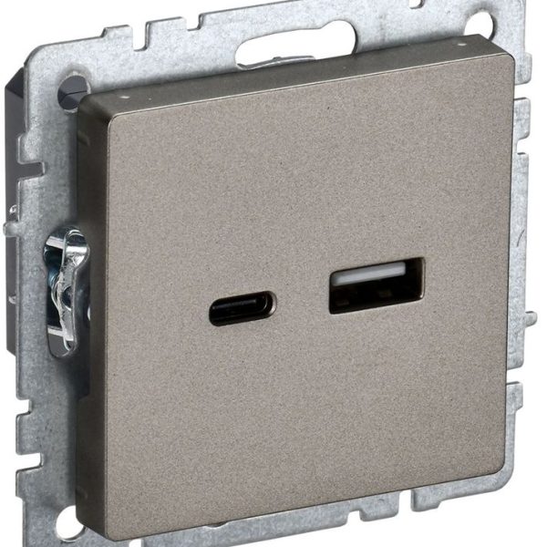 Розетка BRITE USB A+C 18Вт РЮ11-1-БрШ механизм шампань