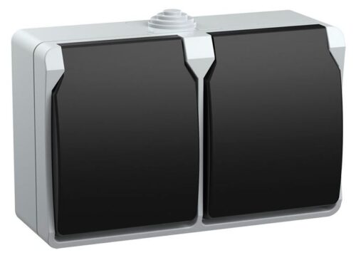 Розетка 2-м ОП Форс РСб22-3-ФСр 16А IP54 с заземл. с крышкой сер