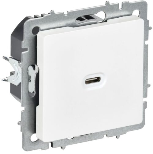 Розетка СП BRITE РЮ12-1-БрАБ USB C 65Вт высокоскор. заряд. арктич. бел