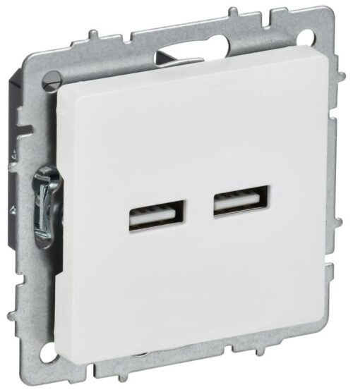 Розетка BRITE РЮ10-1-БрАБ USB A+A 3.1А механизм арктич. бел