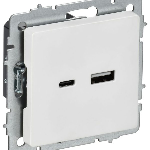 Розетка BRITE РЮ11-1-БрАБ 18Вт USB A+C механизм арктич. бел