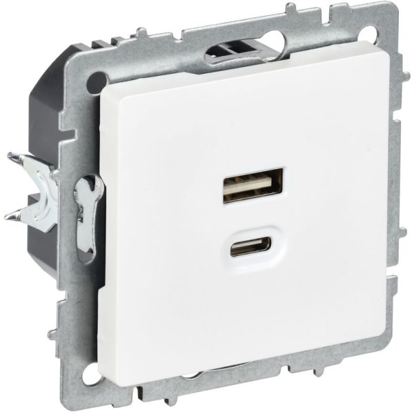Розетка СП BRITE РЮ11-2-БрАБ USB A+C 45Вт высокоскор. заряд. арктич. бел