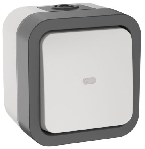 Переключатель 1-кл. ОП TORS 10А IP55 TS202 с индикацией бел