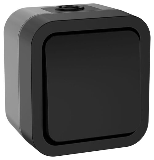 Выключатель кнопочный 1-кл. ОП TORS TS110 10А IP55 графит